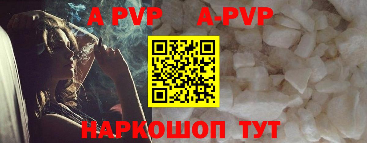 Alfa_PVP СК Сосновый Бор