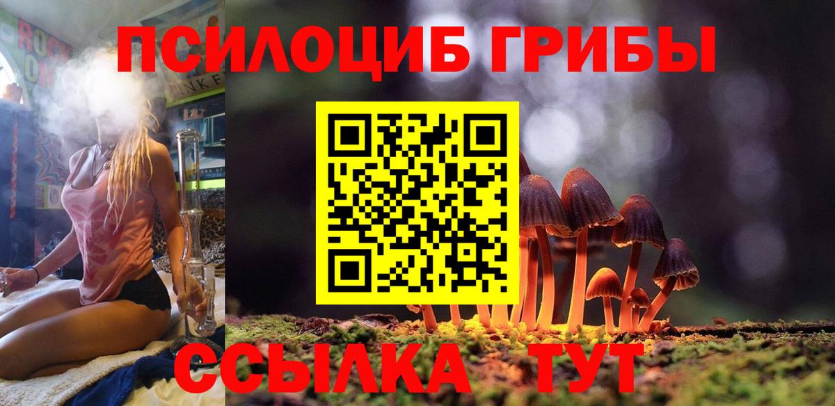 Галлюциногенные грибы мицелий Сосновый Бор